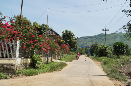 Huy động nguồn lực trong xây dựng nông thôn mới ở Cư Pui
