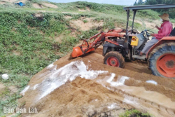 Phường Hòa Hiệp công bố hết dịch tả heo châu Phi