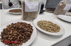 Giá cà phê hôm nay 17-12: Lao dốc dù Brazil ra hàng nhỏ giọt