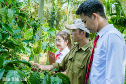 Agribank Chi nhánh Đắk Lắk sẵn sàng nguồn vốn cho niên vụ cà phê 2025 – 2026