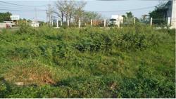 Đề xuất quy định chi tiết về chuyển đất vườn sang đất ở, người dân được giảm tiền sử dụng đất