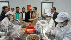 Hỗ trợ doanh nghiệp nâng cao năng suất và chất lượng sản phẩm, hàng hóa