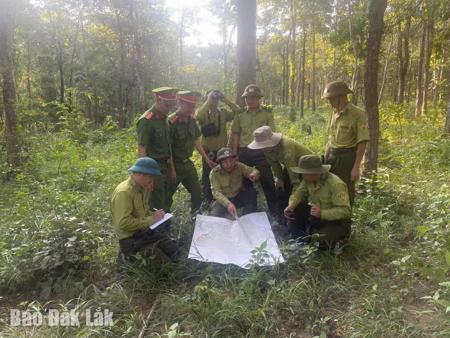 Kiểm lâm Đăk Na vững vàng bước chân giữ rừng