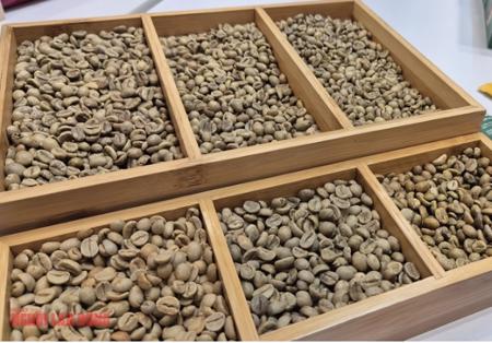 Giá cà phê hôm nay 18-12: Lao dốc phiên thứ 5, mốc 90.000 đồng/kg có thể thủng