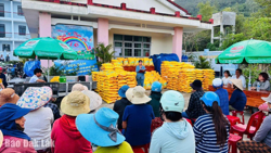 Phân bổ hơn 64 tấn lúa giống hỗ trợ nông dân vùng lũ khôi phục sản xuất