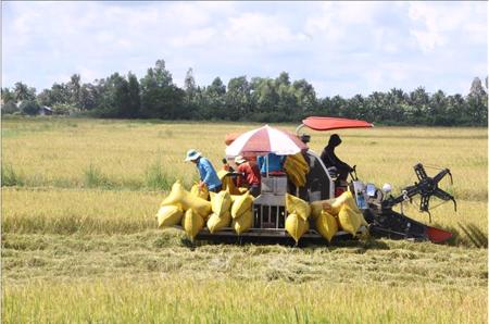 Hoàn thành 9 chỉ tiêu tái cơ cấu ngành nông nghiệp giai đoạn 2021 - 2025