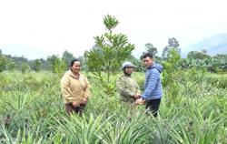 Mở hướng thoát nghèo bền vững ở xã Yang Mao