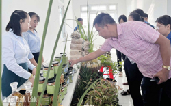 Chuyển tư duy sản xuất theo hướng ứng dụng khoa học, công nghệ