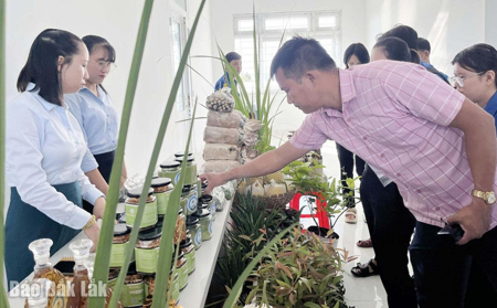 Chuyển tư duy sản xuất theo hướng ứng dụng khoa học, công nghệ