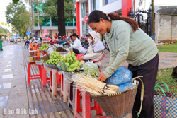    Gùi hương rừng ra phố