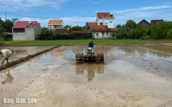 Khẩn trương giải quyết khó khăn, sẵn sàng cho vụ Đông Xuân 2025 - 2026