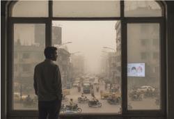 Một loại vitamin có thể bảo vệ phổi khi gặp ô nhiễm bụi mịn