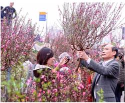 Đề xuất hoán đổi ngày làm việc để có 4 ngày nghỉ tết Dương lịch