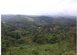 Đắk Lắk quy định việc chi trả dịch vụ môi trường rừng