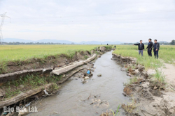 Tập trung khôi phục sản xuất vụ Đông Xuân 2025 – 2026