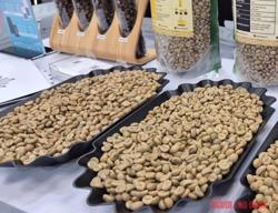 Giá cà phê hôm nay 26-12: Trong nước tăng nóng, Trung Quốc bất ngờ nhập nhiều