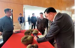 Thí điểm truy xuất nguồn gốc sầu riêng từ đầu năm 2026