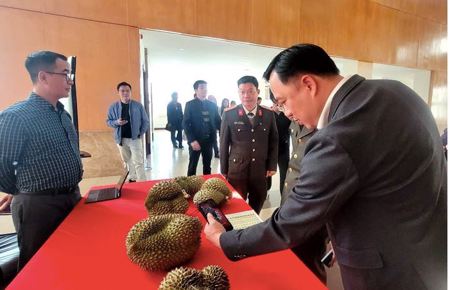 Thí điểm truy xuất nguồn gốc sầu riêng từ đầu năm 2026