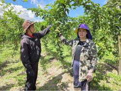 Nông sản Việt chinh phục EU