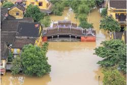 Năm 2025, thiên tai gây thiệt hại gần 98.700 tỷ đồng