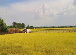 Thông tin giúp người dân xã biên giới thoát nghèo