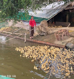 Đồng bộ các giải pháp giảm nghèo đa chiều