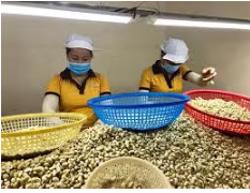 Từ năm 2026, người lao động được giảm thuế nhờ nâng giảm trừ gia cảnh