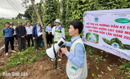Trung tâm Khuyến nông Quốc gia hỗ trợ nông dân khôi phục sản xuất sau bão lũ