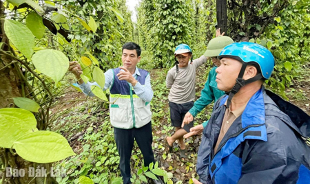 Chung tay khôi phục sản xuất sau bão lũ