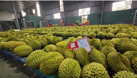 Xuất khẩu nông, lâm, thủy sản sớm về đích