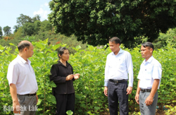 Tạo sinh kế giảm nghèo bền vững cho người dân