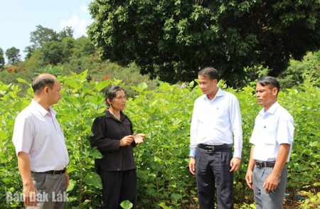 Tạo sinh kế giảm nghèo bền vững cho người dân