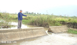 Xã Hòa Sơn: Đa dạng các mô hình kinh tế gắn với xây dựng nông thôn mới