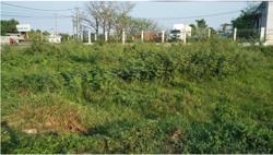 Đề xuất giải quyết tình trạng "người dân phải nộp số tiền lớn khi chuyển đất vườn sang đất ở"