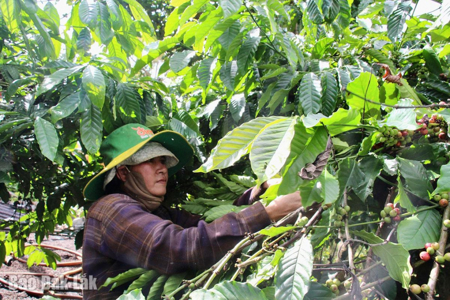 Vượt khó vươn lên thay đổi cuộc sống