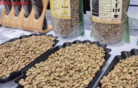 Giá cà phê hôm nay 9-12: Lao dốc tiếp