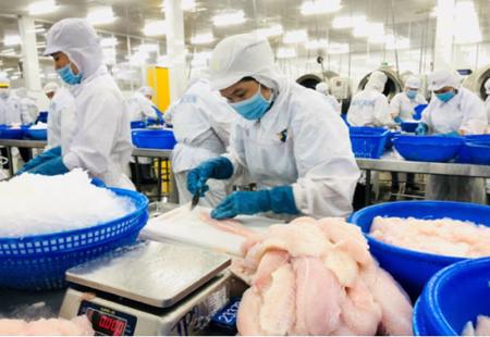 Báo cáo mới của ILO về xu hướng việc làm tại Việt Nam