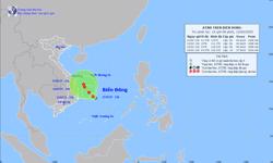 Khẩn trương ứng phó áp thấp nhiệt đới trên Biển Đông