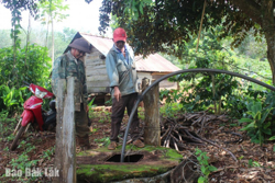 Báo động tình trạng trộm máy bơm nước