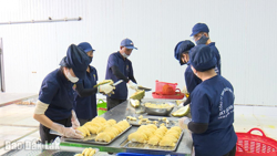 Chế biến sâu – Nâng cao giá trị nông sản