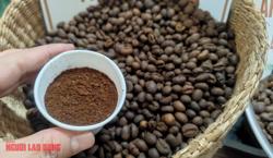 Giá cà phê hôm nay 17-2: Giá nội địa đang bị “ép”?