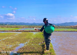 Để vụ Đông Xuân 2024 - 2025 thắng lợi