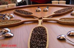 Giá cà phê hôm nay 19-2: Tăng trở lại