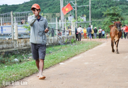 Phấn đấu đưa 26 xã và 195 thôn, buôn ra khỏi địa bàn đặc biệt khó khăn