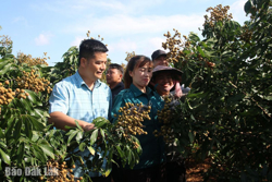 Cư Êwi nỗ lực “cán đích” nông thôn mới