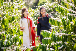 Lan tỏa tình yêu cà phê