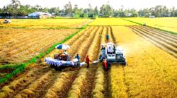 Thúc đẩy nông nghiệp xanh