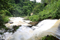 Đánh thức Drai Dăng