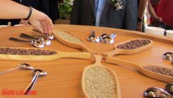 Giá cà phê hôm nay 24-2: Có tăng nữa không?