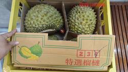 Sầu riêng gặp khó, Trung Quốc giảm nhập rau quả Việt Nam 40%